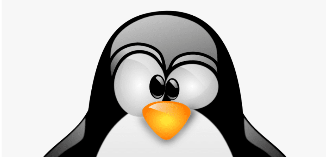 How to enable SSH on your Linux machine so you can access that computer from another