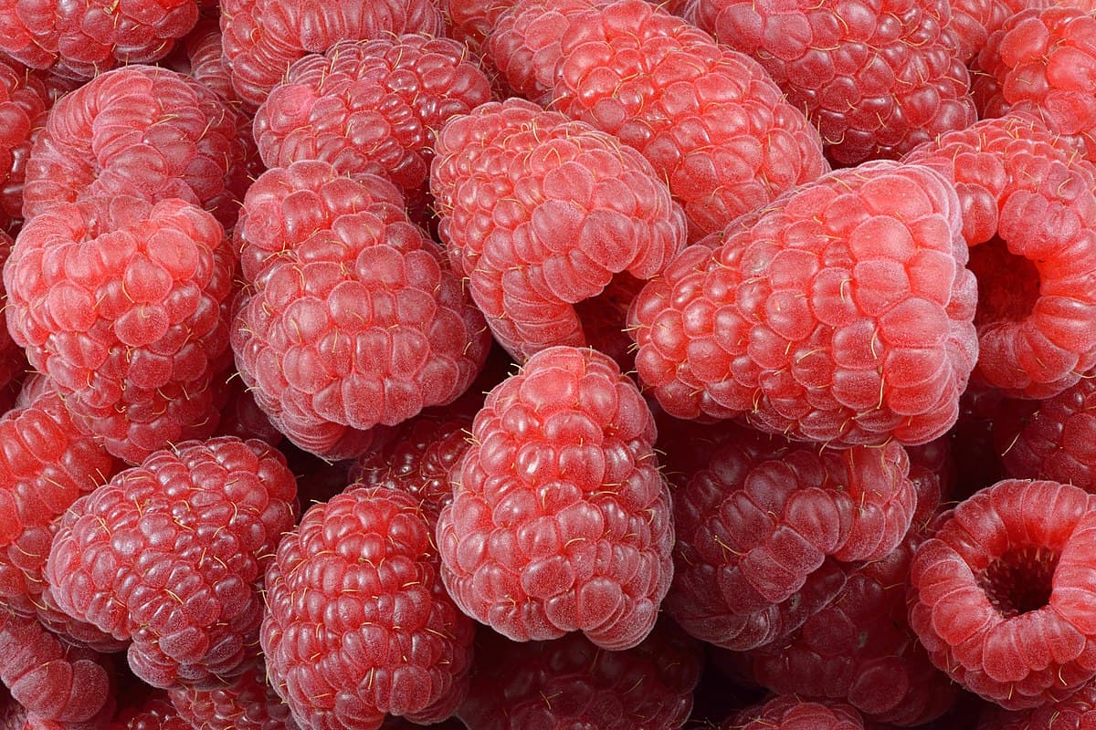 A Kind Of Ish Guide To The Raspberry Pi
